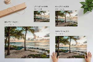 Premium wall art featuring a tropical beach