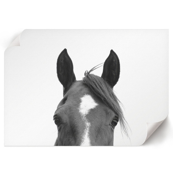 Wall poster featuring horse ears