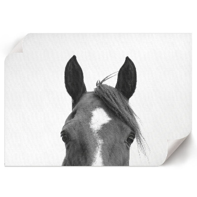 Wall poster featuring horse ears