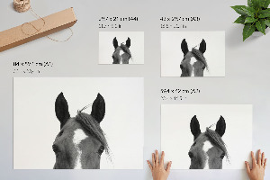 Wall poster featuring horse ears