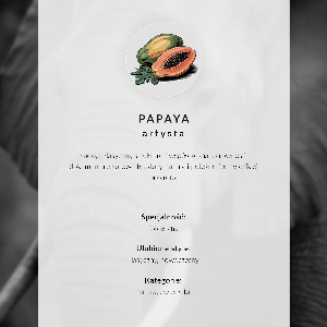 Wall poster Horse ears