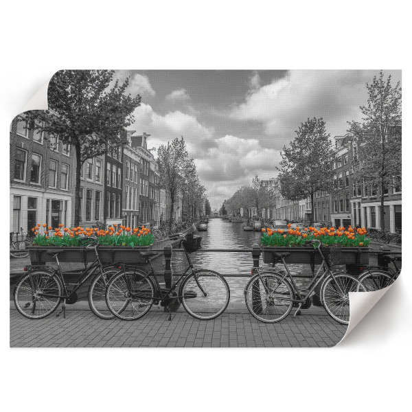 Premium wall art titled "Urban Charm"