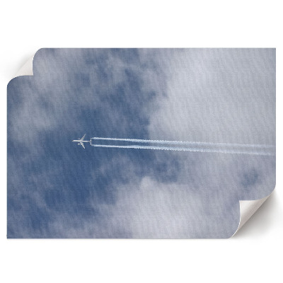 Wall poster depicting a sky flight