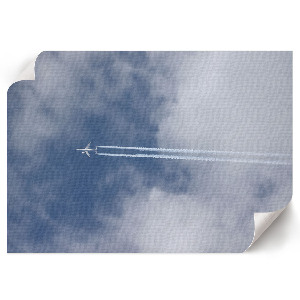 Wall poster depicting a sky flight