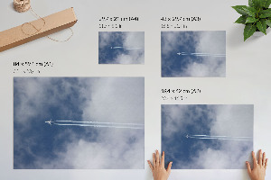 Wall poster depicting a sky flight