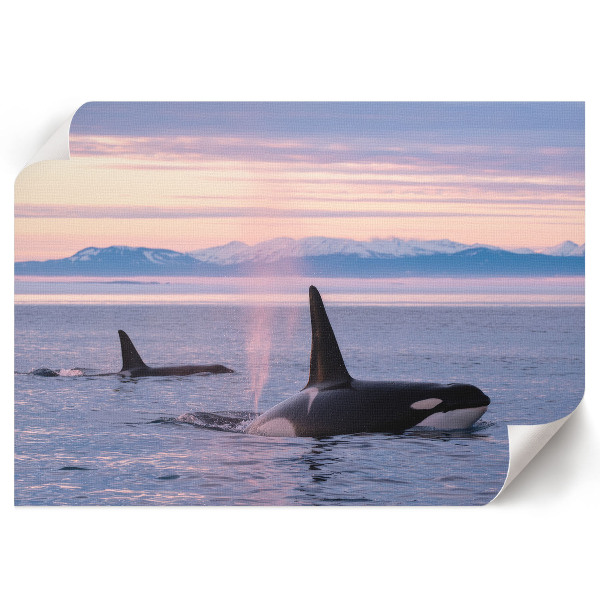 Premium wall art featuring a seascape