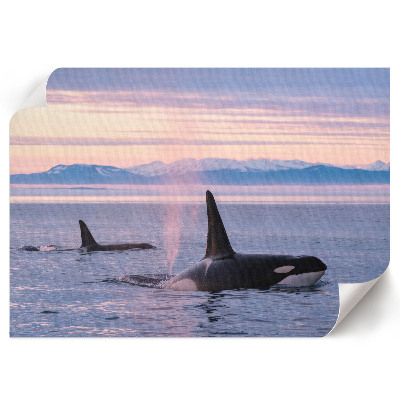 Premium wall art featuring a seascape