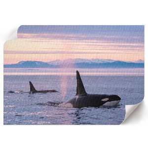 Premium wall art featuring a seascape