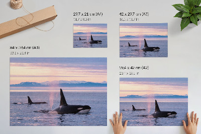 Premium wall art featuring a seascape
