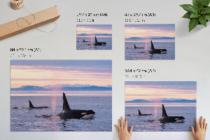 Premium wall art featuring a seascape