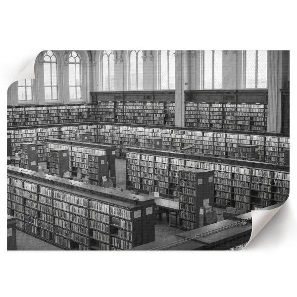 Modern wall art poster depicting a library interior