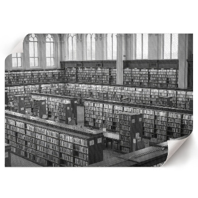 Modern wall art poster depicting a library interior