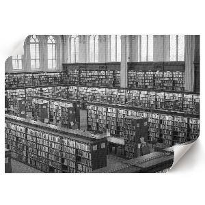 Modern wall art poster depicting a library interior