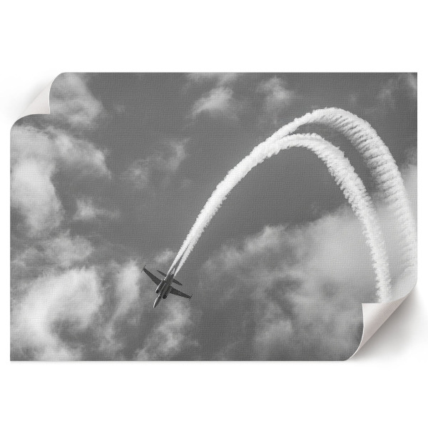 Canvas poster Flight in the sky