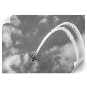 Canvas poster Flight in the sky