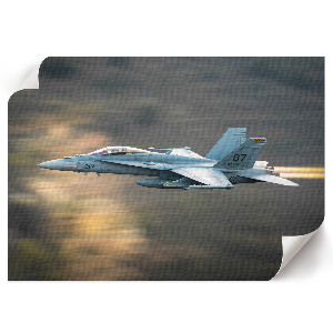Fast Fighter wall poster