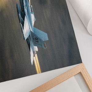 Fast Fighter wall poster