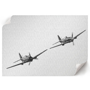 Canvas poster with a black airplane motif