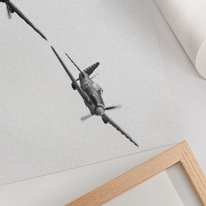 Canvas poster with a black airplane motif