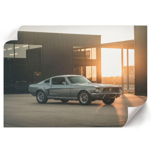 Premium wall art featuring a retro car
