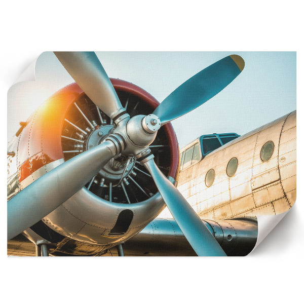 Wall poster showing a detailed view of an airplane