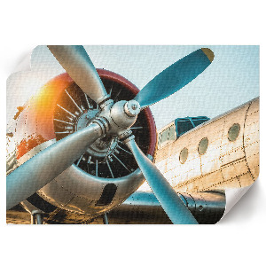 Wall poster showing a detailed view of an airplane