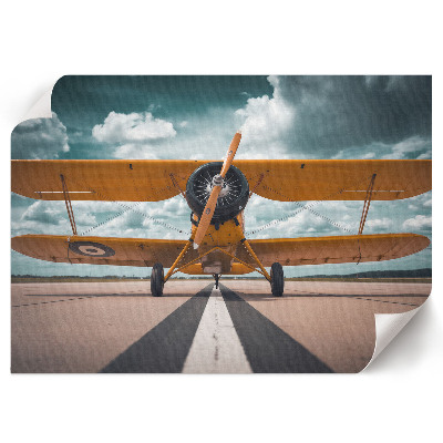 Canvas poster showing a plane taking off