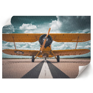 Canvas poster showing a plane taking off