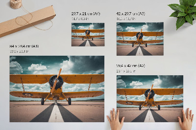 Canvas poster showing a plane taking off