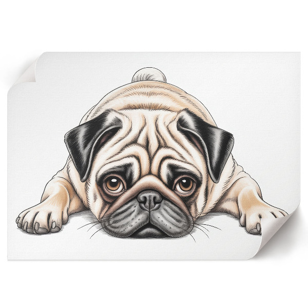 Canvas poster with a pug illustration