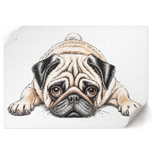 Canvas poster Pug illustration