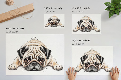 Canvas poster with a pug illustration