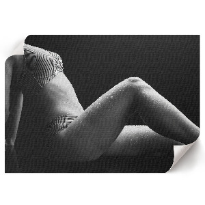 Modern wall art poster Sensual elegance