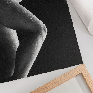 Modern wall art poster Sensual elegance