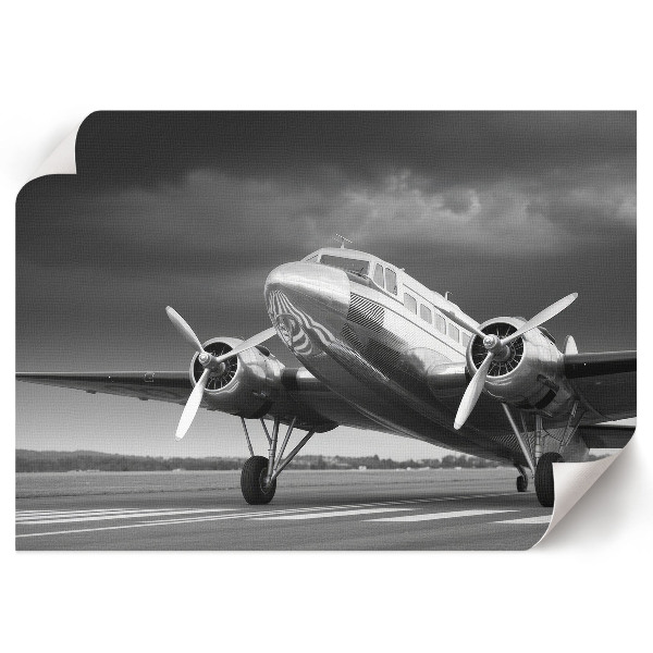 Premium wall art featuring a classic airplane