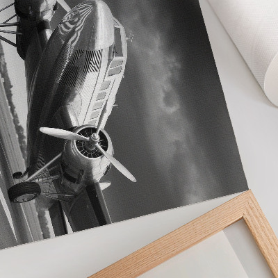 Premium wall art featuring a classic airplane