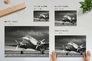 Premium wall art featuring a classic airplane