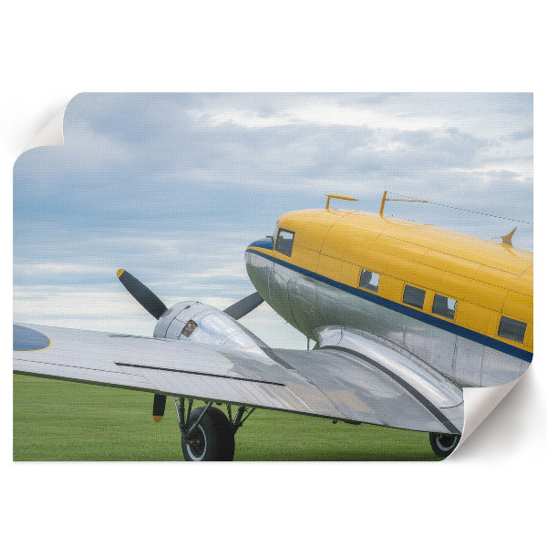 Modern wall art poster featuring a vintage airplane