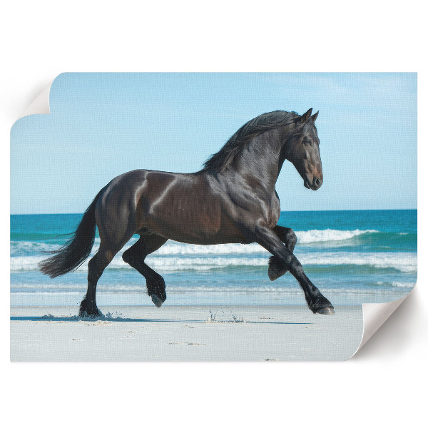 Premium wall art featuring a galloping horse