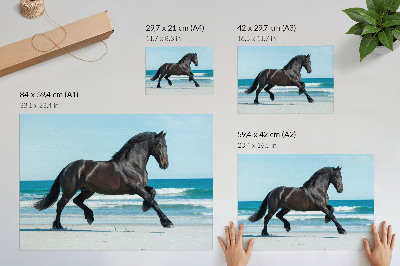 Premium wall art featuring a galloping horse