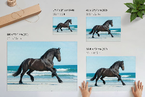 Premium wall art featuring a galloping horse
