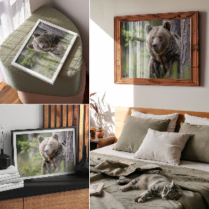 Canvas poster depicting a bear in the forest