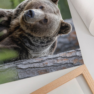 Canvas poster depicting a bear in the forest