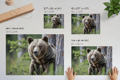 Canvas poster depicting a bear in the forest