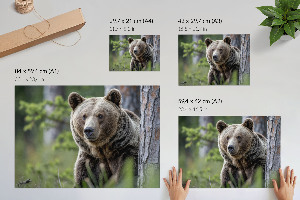 Canvas poster depicting a bear in the forest