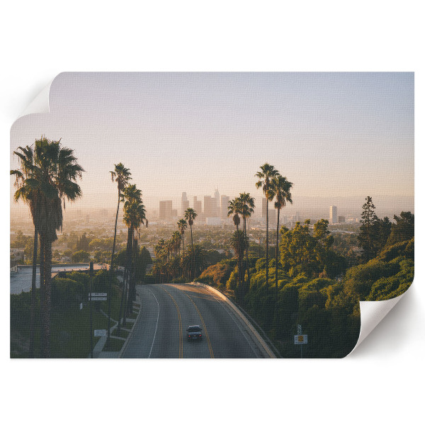 Wall poster Urban oasis