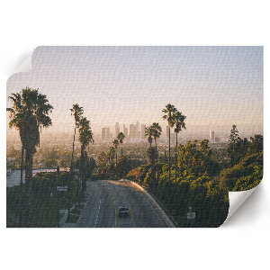 Wall poster Urban oasis