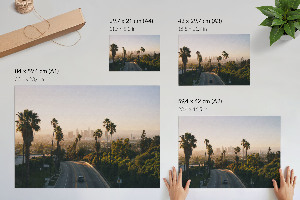 Wall poster Urban oasis