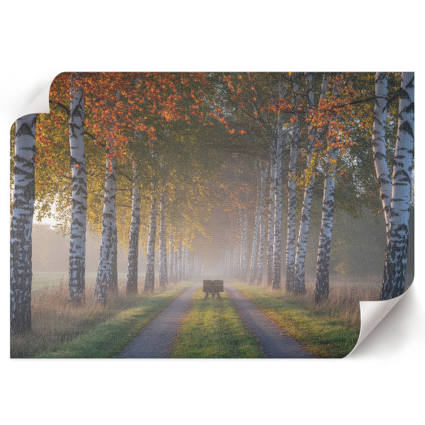 Modern wall art poster depicting a forest alley