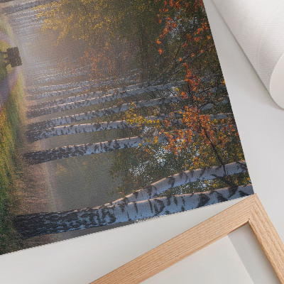 Modern wall art poster depicting a forest alley